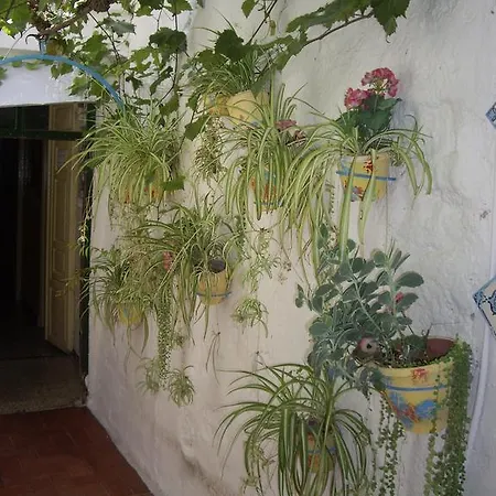Guest house Versalles *