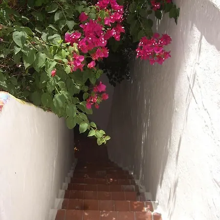 Guest house Versalles