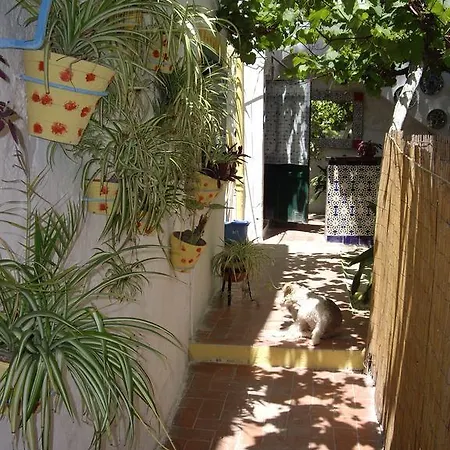 Guest house Versalles *
