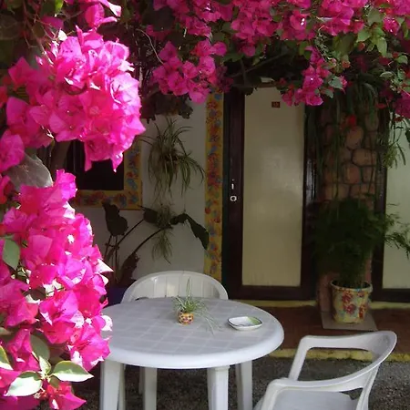 Guest house Versalles