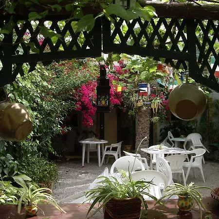 Versalles Guest house *